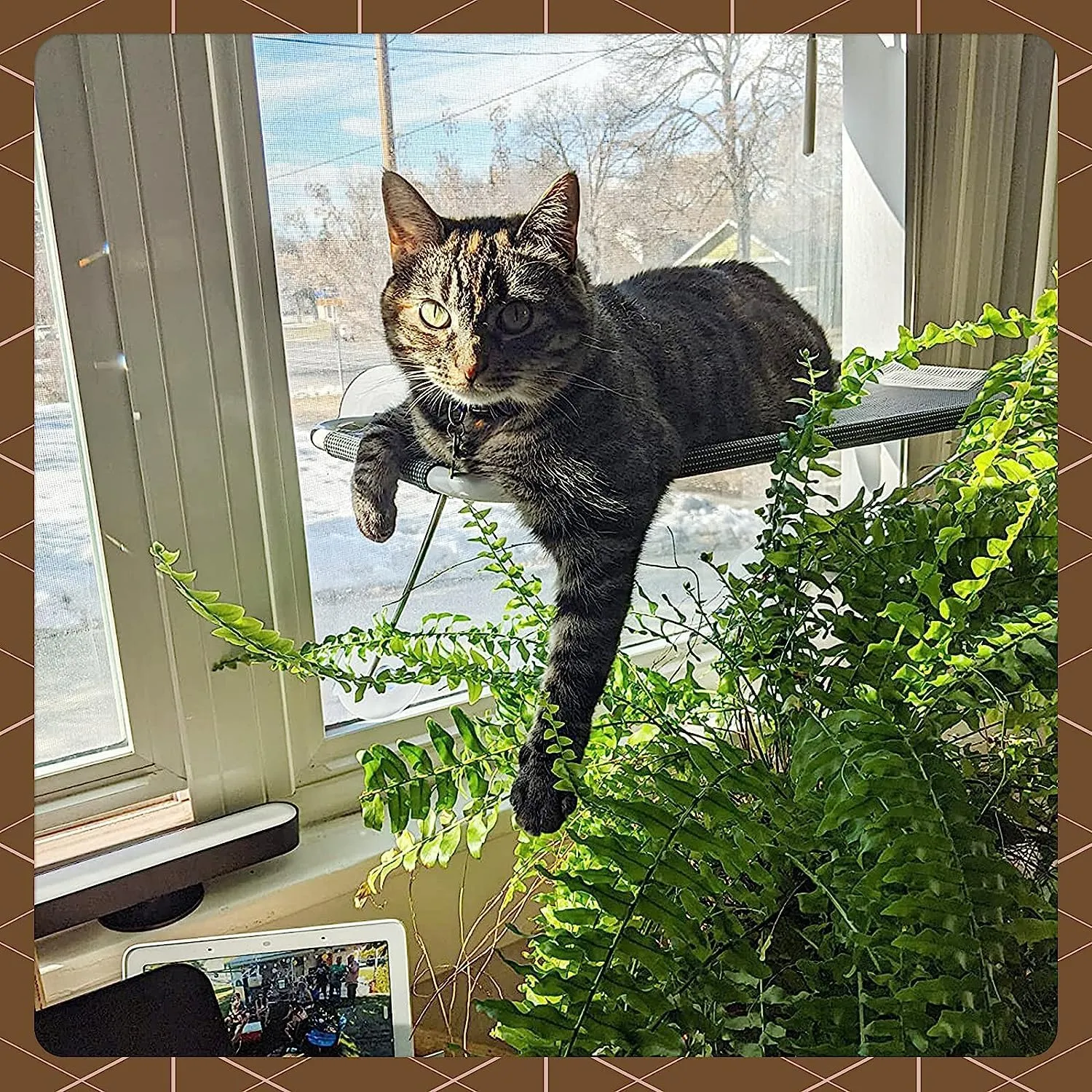 Cat Window Perch with 360 Sunbath, Hammock Bed for Indoor Cats, Grey Comfortable Seat for Sunbathing, Easy to Install on Any Window (Large)