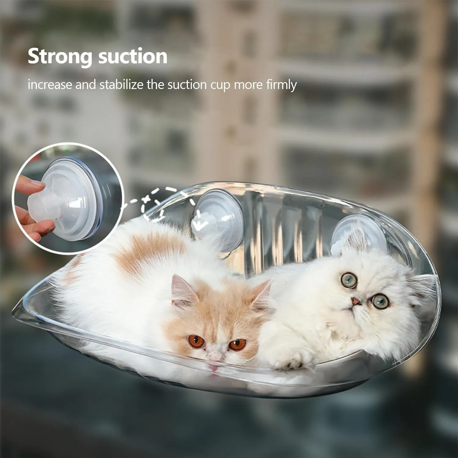 Deluxe Cat Window Perch with Clear ABS Plastic - Strong Suction Cup Hammock, Easy Installation, and Comfortable Design for All Cat Sizes (Clear)