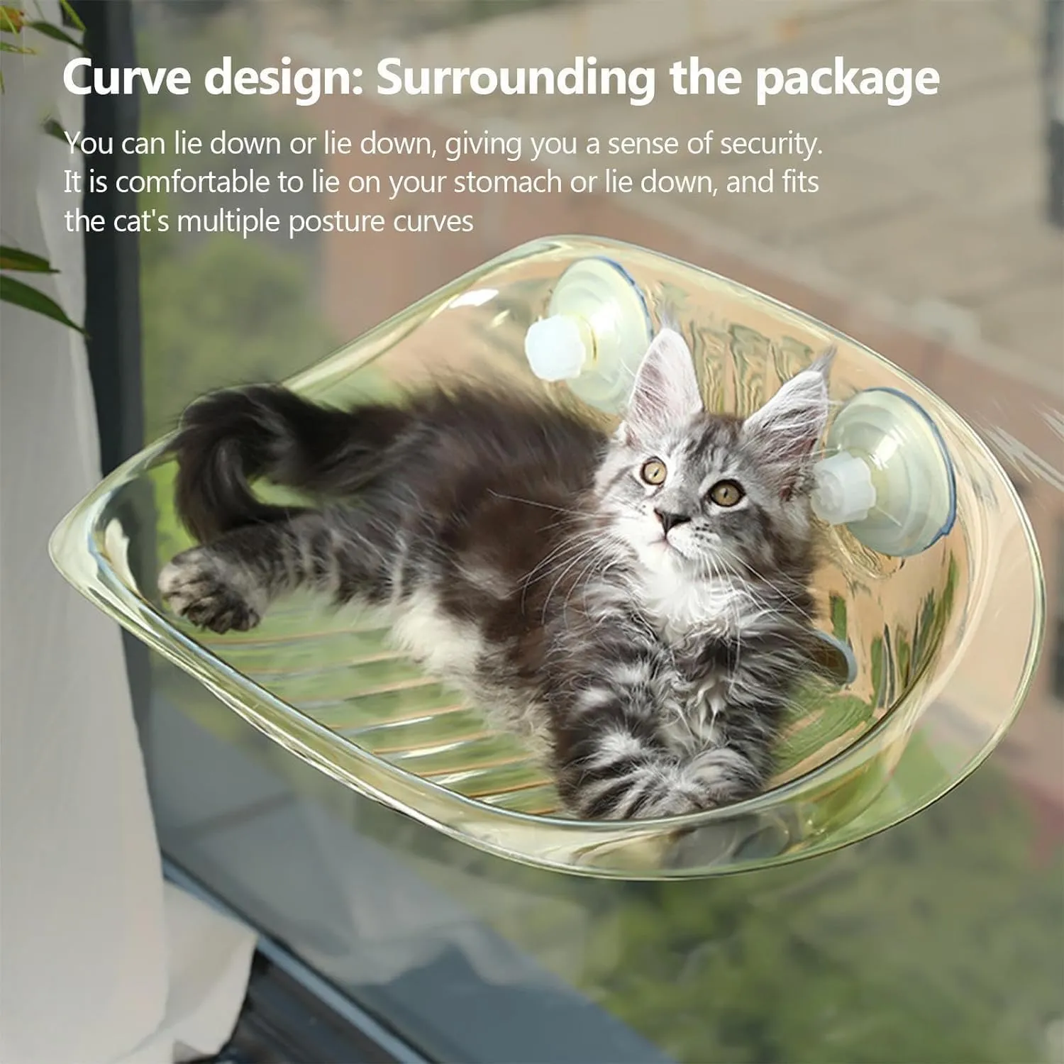 Deluxe Cat Window Perch with Clear ABS Plastic - Strong Suction Cup Hammock, Easy Installation, and Comfortable Design for All Cat Sizes (Clear)