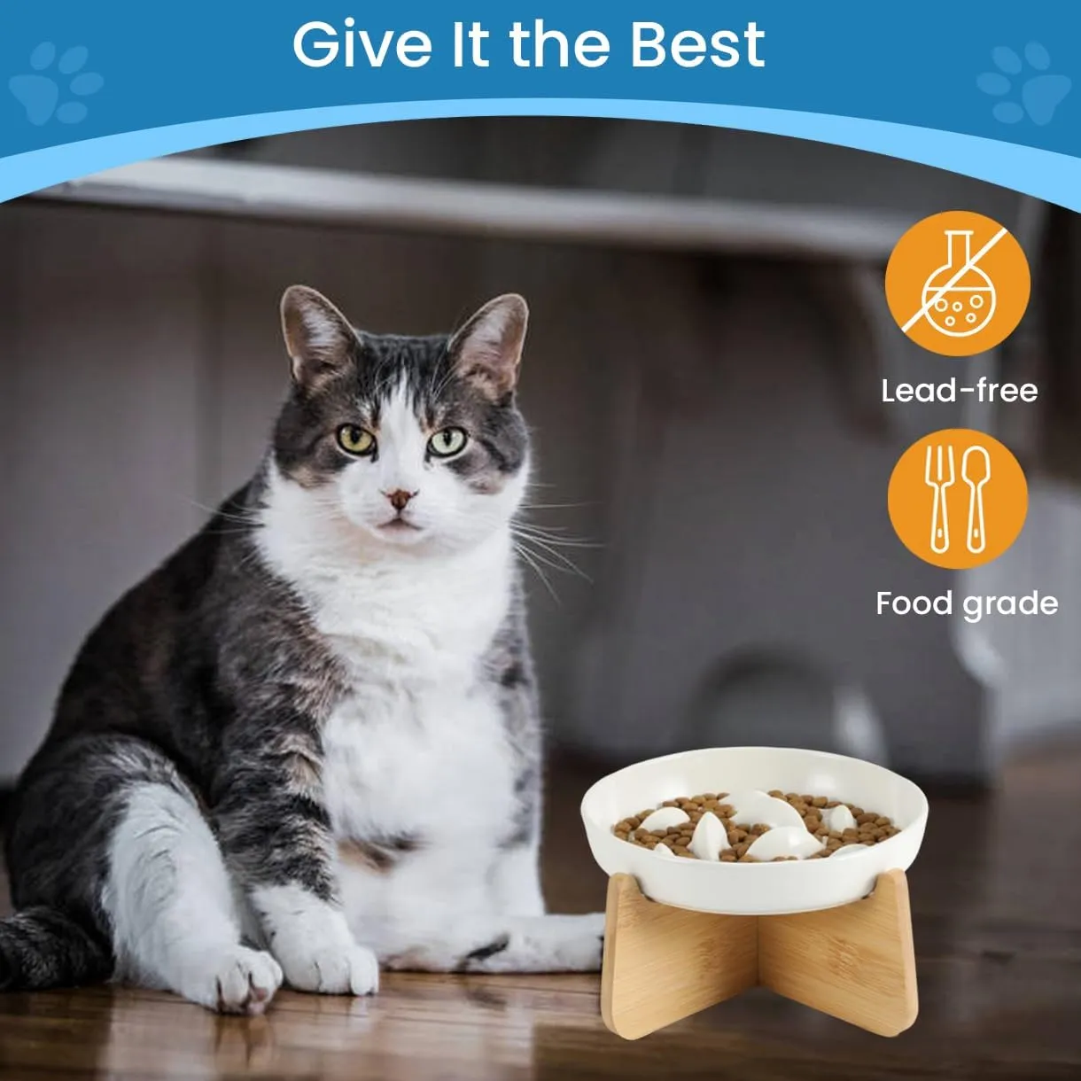 Elevated Ceramic Slow Feed Dish with Stand for Cats and Small Dogs, Fish Pool Design Pet Slow Feeder with Higher Edges, Healthy Eating Diet Made of Safe and Quality Material(Ceramic*White)