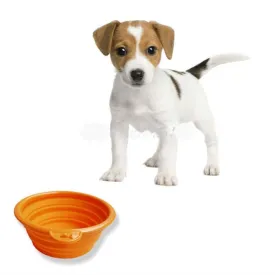 Foldable Portable Dog Bowl