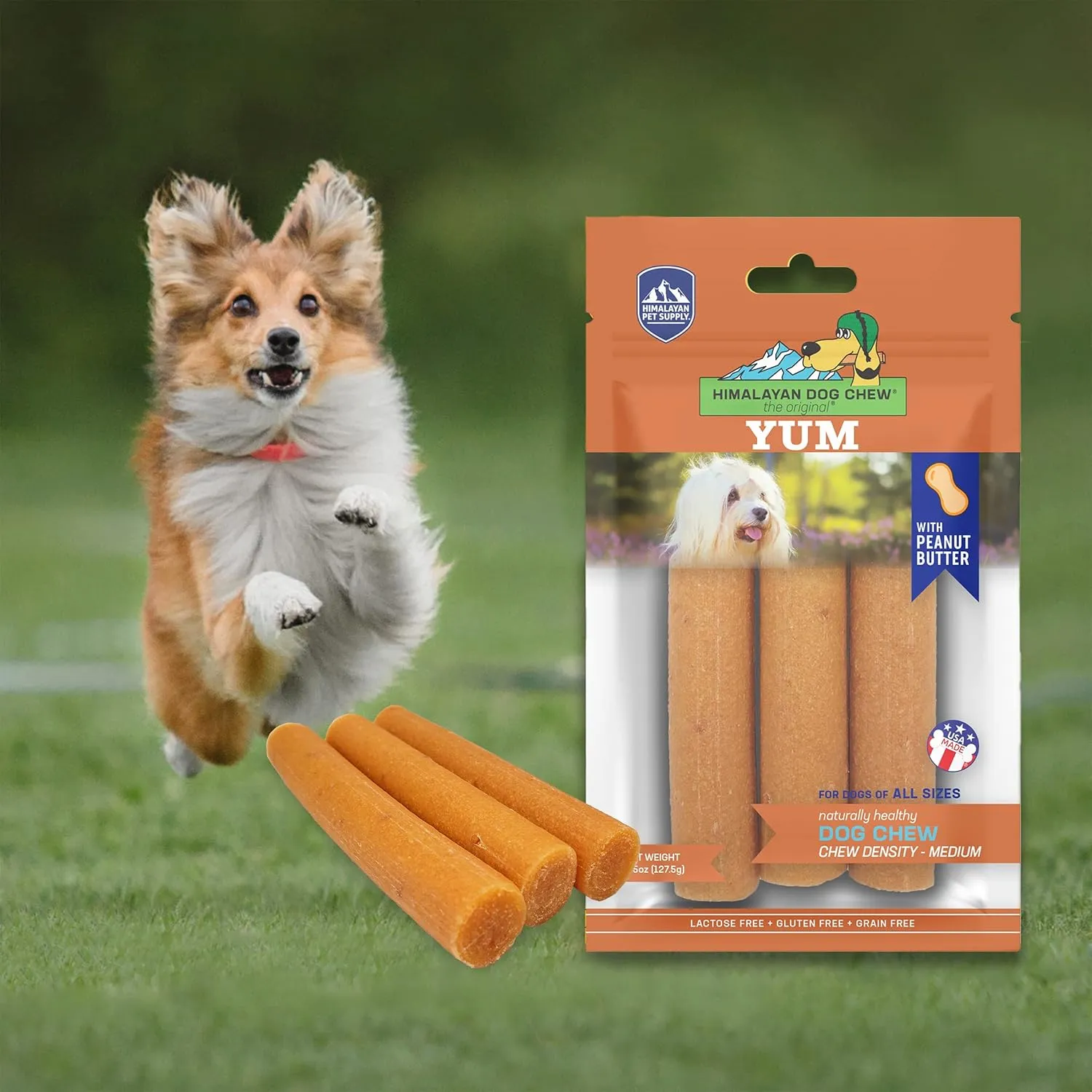 Himalayan Dog Chew Yak Cheese Dog Chews, Lactose Free & Grain Free, USA Made, For All Dog Breeds, Medium Density Cheese Chew, Resealable Pouch with 3 YUM Treats, Peanut Butter Flavor