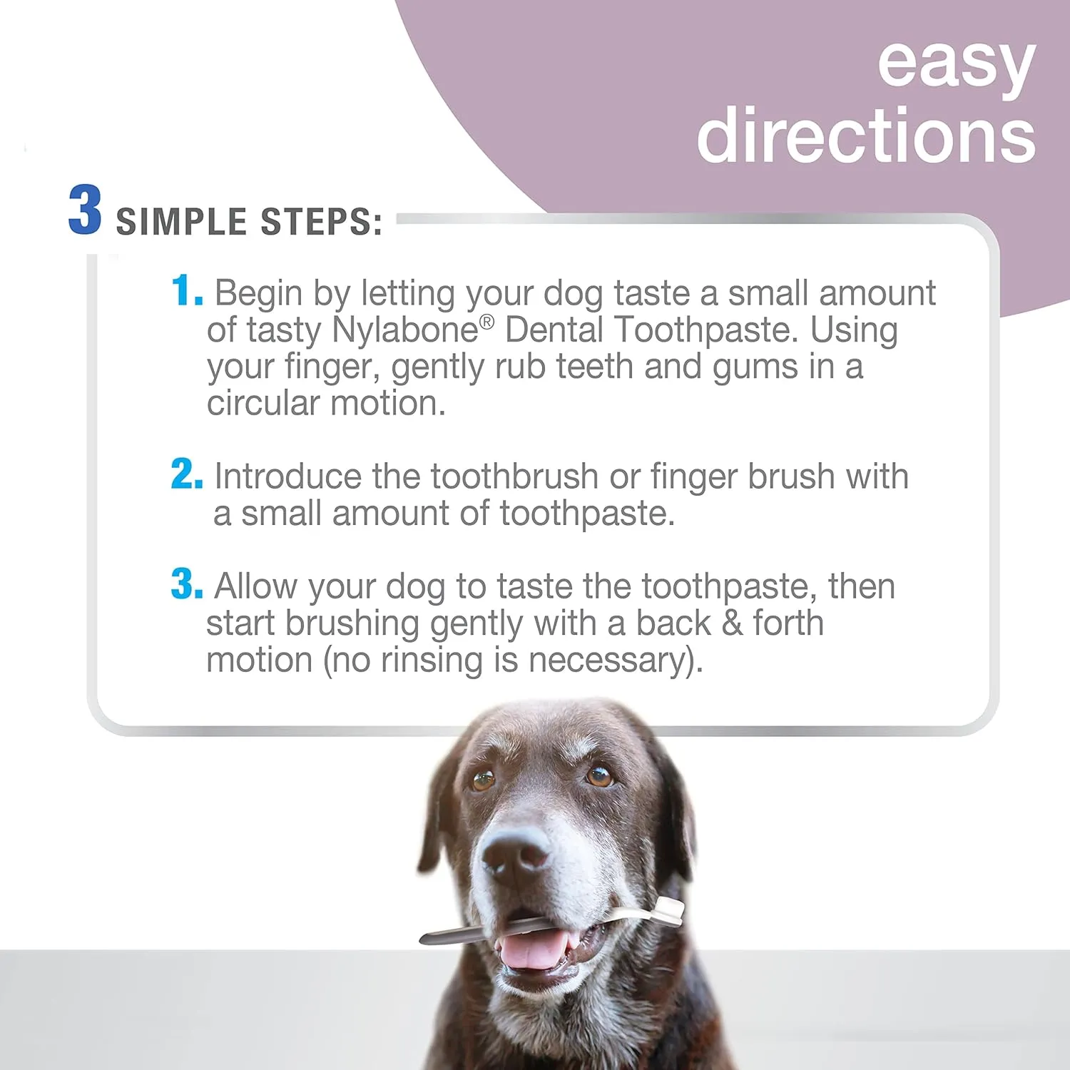 Nylabone Advanced Oral Care Senior Dog Dental Kit with Cushiony Soft-Bristle Toothbrush Senior 3 Count