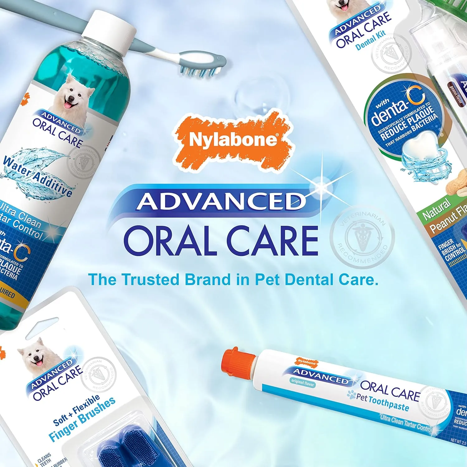 Nylabone Advanced Oral Care Senior Dog Dental Kit with Cushiony Soft-Bristle Toothbrush Senior 3 Count