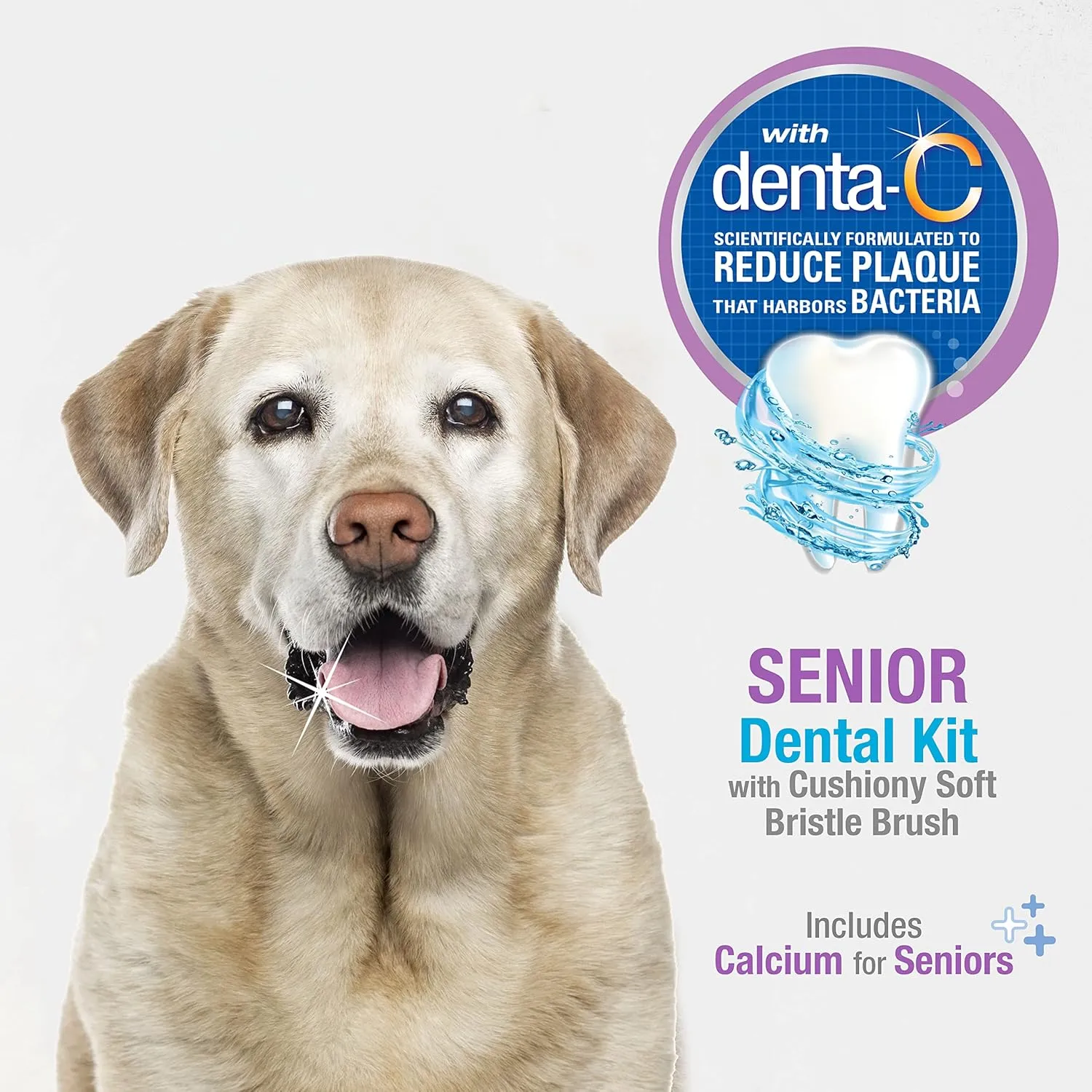 Nylabone Advanced Oral Care Senior Dog Dental Kit with Cushiony Soft-Bristle Toothbrush Senior 3 Count