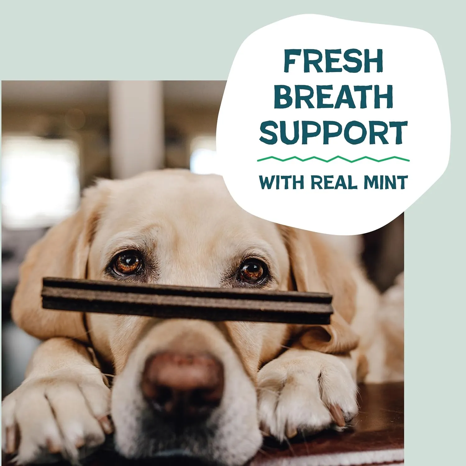 Shameless Pets Dental Treats for Dogs, Variety (3-Pack) - Healthy Teeth Cleaning Sticks for Fresh Breath - Dog Bones Dental Chews Free from Grain, Corn & Soy