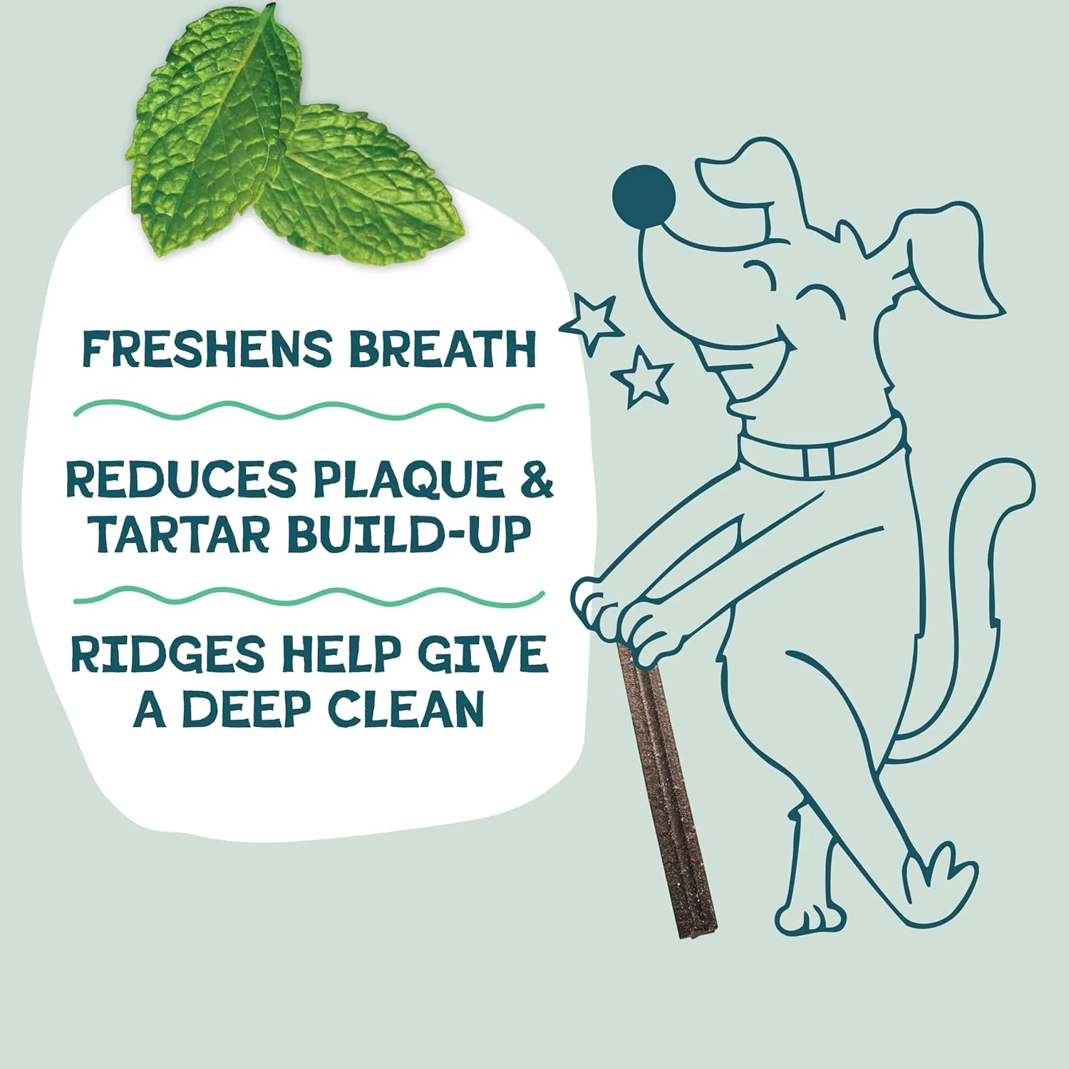 Shameless Pets Dental Treats for Dogs, Variety (3-Pack) - Healthy Teeth Cleaning Sticks for Fresh Breath - Dog Bones Dental Chews Free from Grain, Corn & Soy