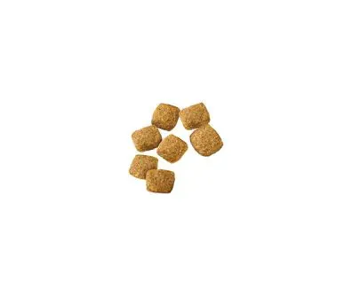 Specialized Weight Management Chicken & Rice Dry Dog Food